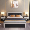 Picture of MM Furniture Royal Laminated Engineered Wood Queen Size Bed with Box Storage