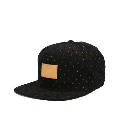 Picture of Obey Propaganda Hat