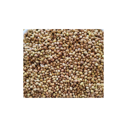 Picture of Coriander 1KG