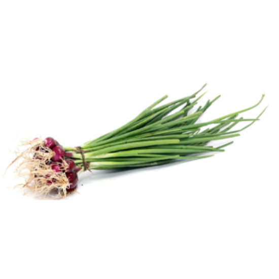 Picture of Spring Onion - With roots, 1 pc (Approx. 100 g)