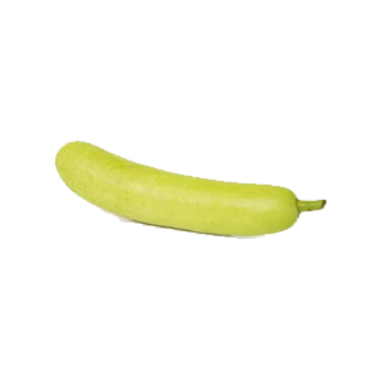 Picture of Bottle Gourd Approx. 550gm to 600gm