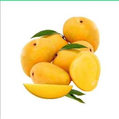 Picture of Mango Alphonso 1 kg