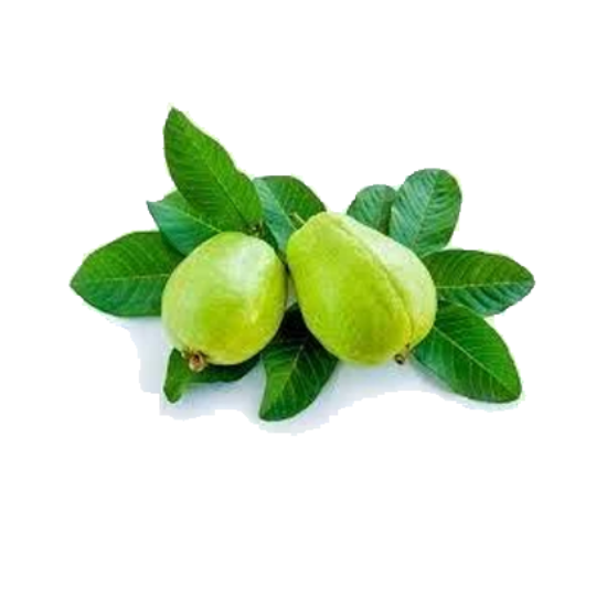 Picture of Guava - Organically Grown (Loose), 1 kg