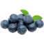 Picture of Blueberry Imported 125g