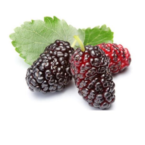 Picture of Mulberry - 150 Grams