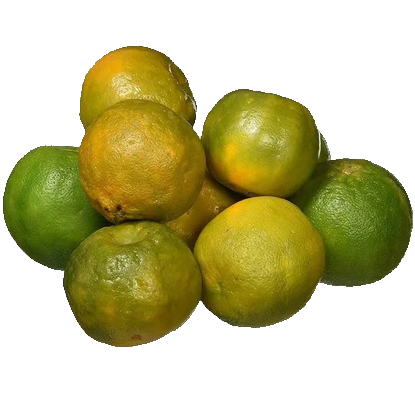 Picture of Orange - Nagpur, Regular (Loose), 500 g